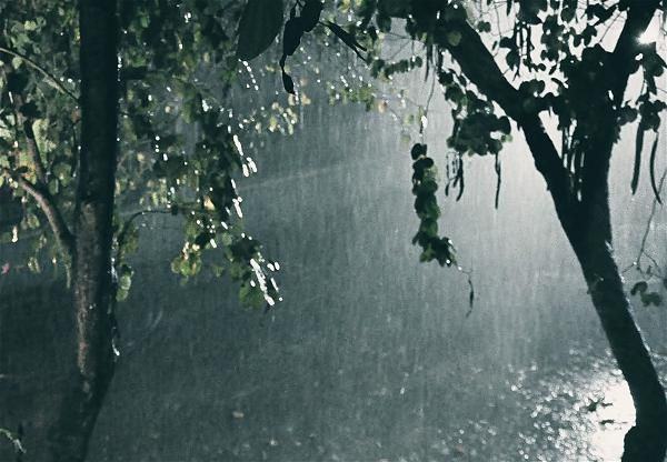 [Mê Mẩn] 101+ hình ảnh mưa buồn lãng mạn, nặng trĩu nỗi lòng